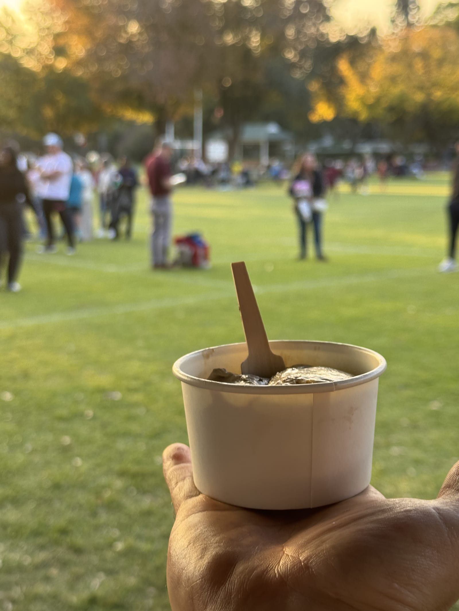 Ice Cream Boets in action — photo 6